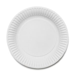 6" Paper Plates (1x100)