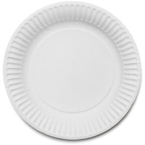 9" Paper Plates (1x100)