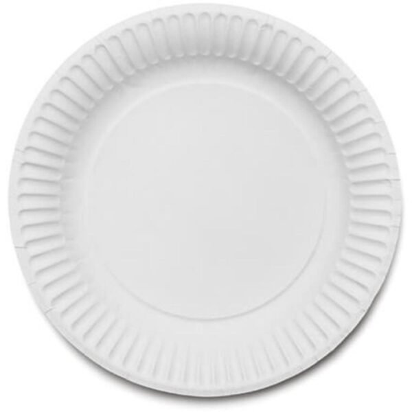 9" Paper Plates (1x100)