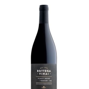 Bottega Vinai Trentino Pinot Nero 2022