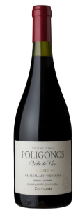 Zuccardi Poligonos Gualtallary Malbec 2020